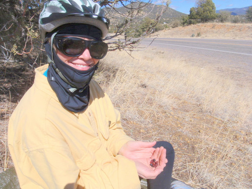 Terry; she picked out the Current from the trail mix, hmmm.